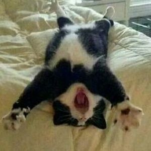 Meet your Posher, Jayie